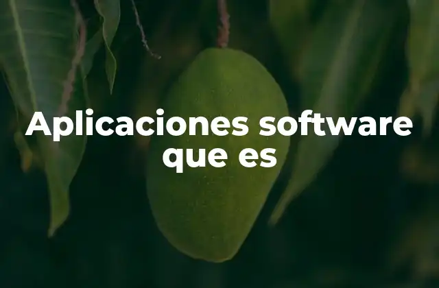 Aplicaciones Software que es