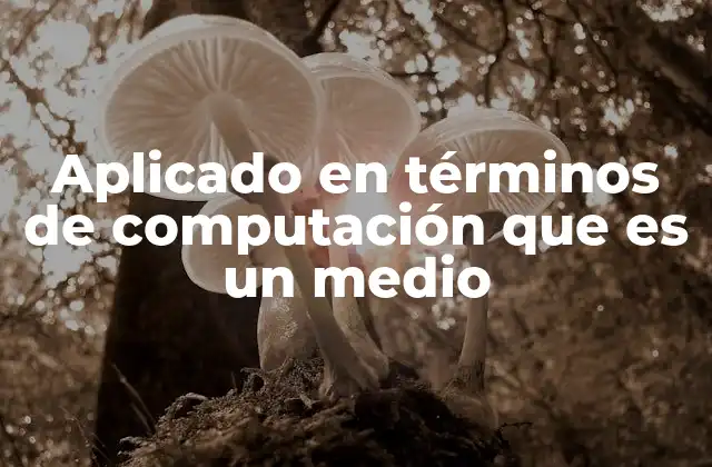 Aplicado en Términos de Computación que es un Medio