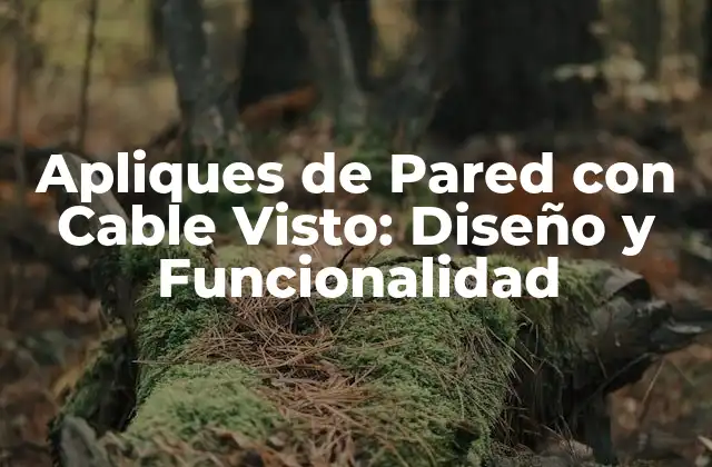 Apliques de Pared con Cable Visto: Diseño y Funcionalidad