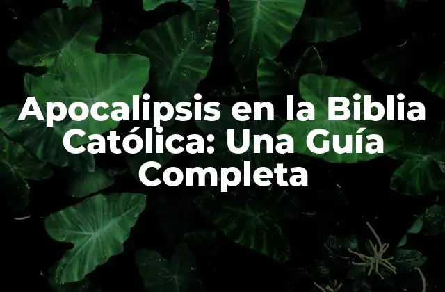 Apocalipsis en la Biblia Católica: una Guía Completa