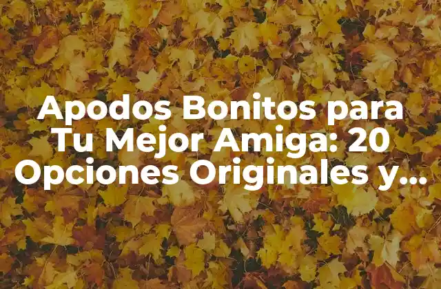 Apodos Bonitos para Tu Mejor Amiga: 20 Opciones Originales y Significativas
