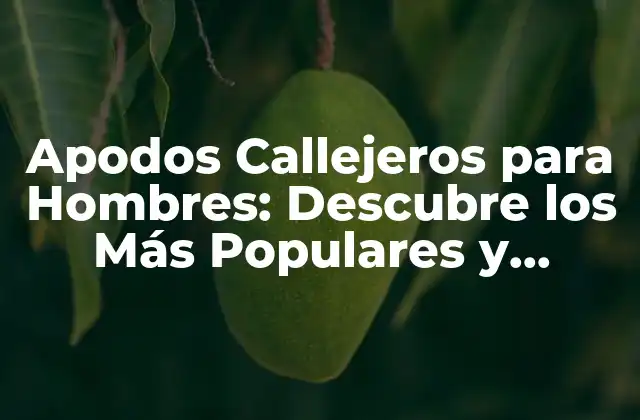 Apodos Callejeros para Hombres: Descubre los Más Populares y Originales