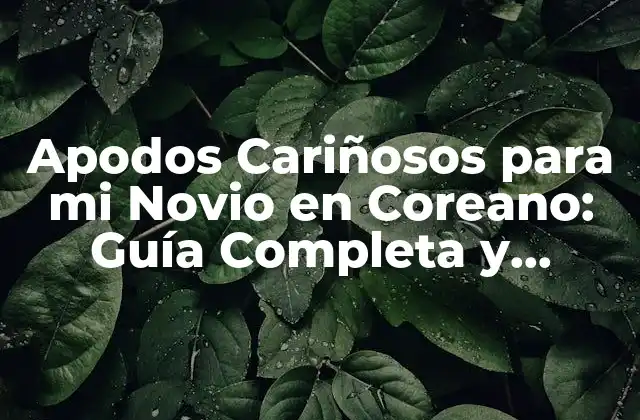 Apodos Cariñosos para Mi Novio en Coreano: Guía Completa y Romántica