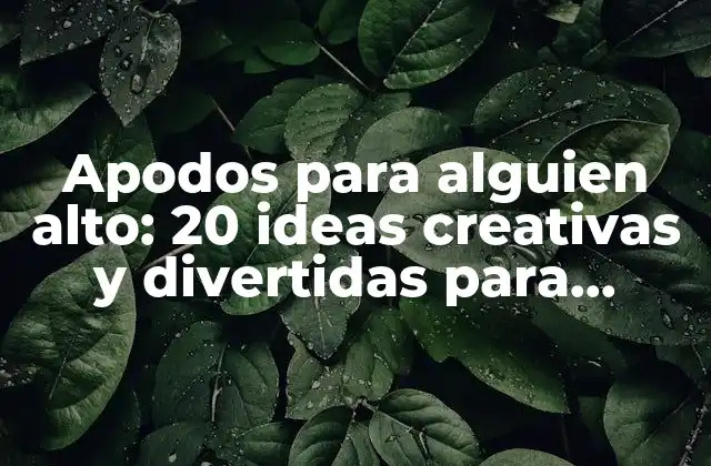 Apodos para Alguien Alto: 20 Ideas Creativas y Divertidas para Personas Altas