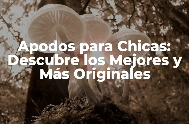 Apodos para Chicas: Descubre los Mejores y Más Originales