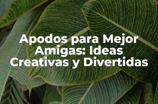 Apodos para Mejor Amigas: Ideas Creativas y Divertidas