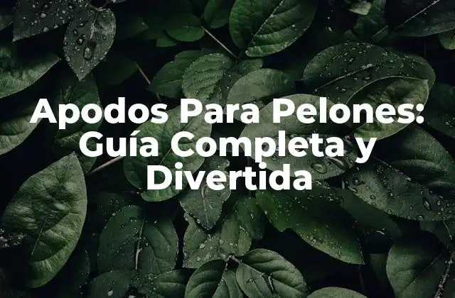 Apodos para Pelones: Guía Completa y Divertida