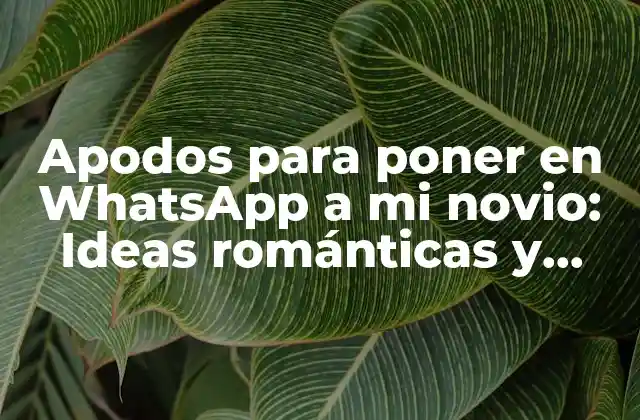 Apodos para Poner en Whatsapp a Mi Novio: Ideas Románticas y Divertidas