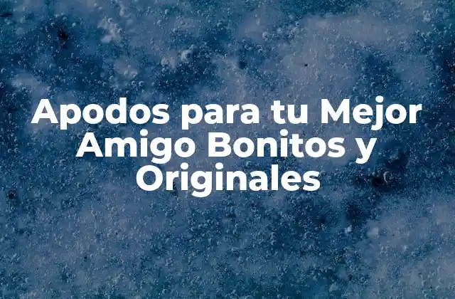 Apodos para Tu Mejor Amigo Bonitos y Originales