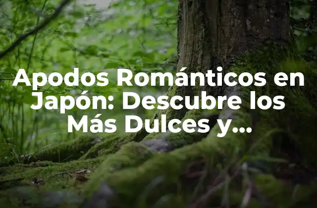 Apodos Románticos en Japón: Descubre los Más Dulces y Originales