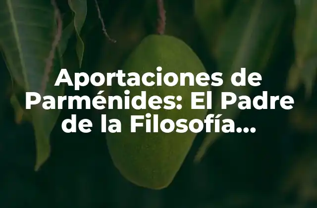 Aportaciones de Parménides: el Padre de la Filosofía Occidental