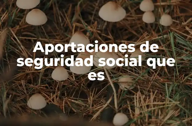 Aportaciones de Seguridad Social que es