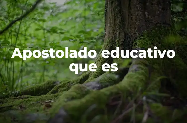 Apostolado Educativo que es
