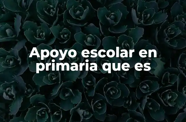 Apoyo Escolar en Primaria que es