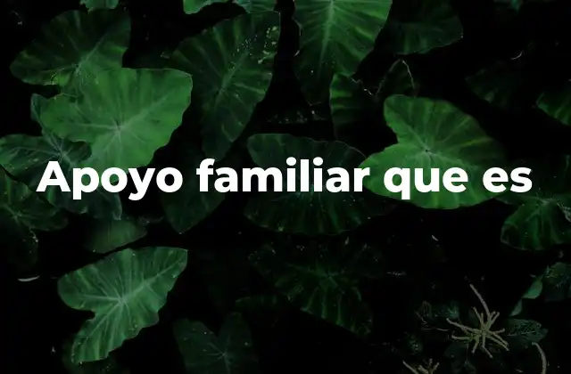 Apoyo Familiar que es