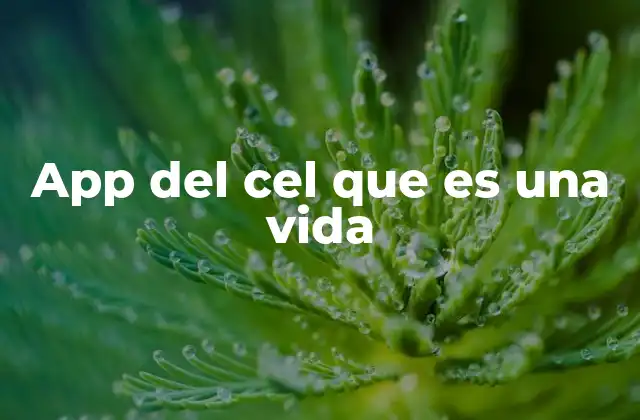 App Del Cel que es una Vida