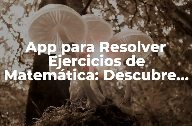 ¿Cuáles son las Ventajas de Utilizar una App para Resolver Ejercicios de Matemática?