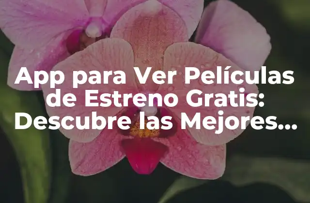 App para Ver Películas de Estreno Gratis: Descubre las Mejores Opciones