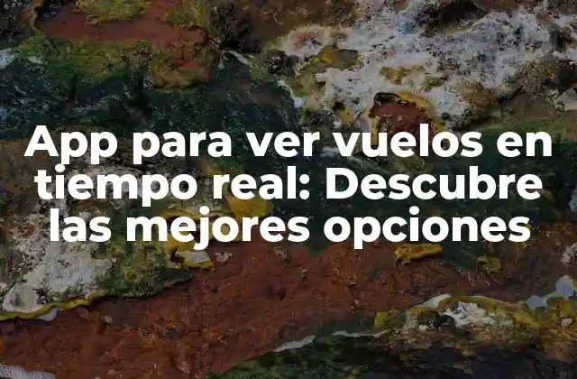 App para Ver Vuelos en Tiempo Real: Descubre las Mejores Opciones