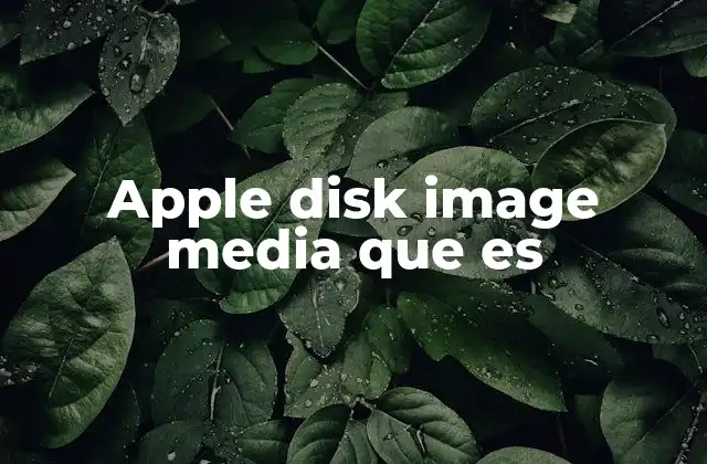 Apple Disk Image Media que es 2 Cómo funciona el formato Apple Disk Image (DMG)