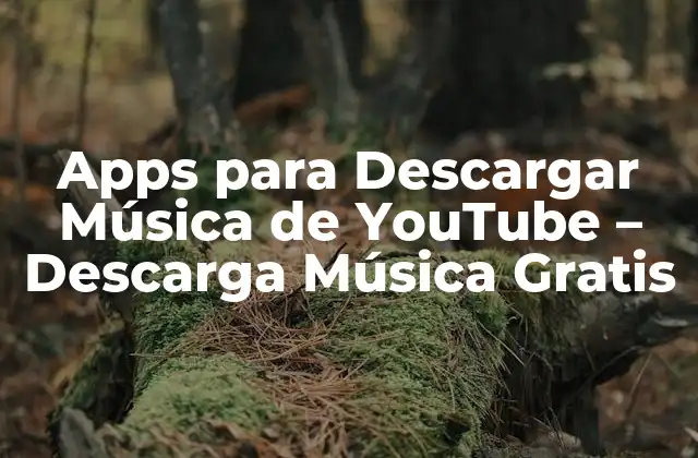 Apps para Descargar Música de Youtube – Descarga Música Gratis