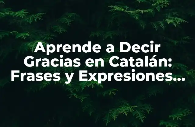 Aprende a Decir Gracias en Catalán: Frases y Expresiones para Agradecer