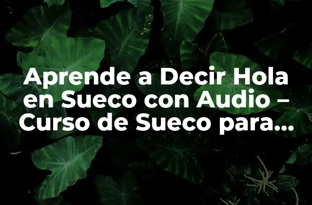 Aprende a Decir Hola en Sueco con Audio – Curso de Sueco para Principiantes