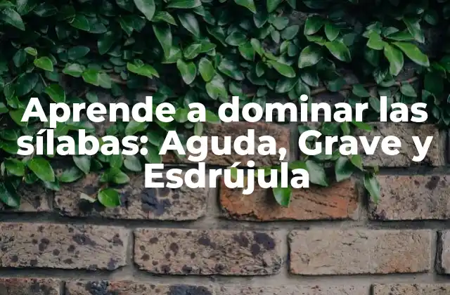 Aprende a Dominar las Sílabas: Aguda, Grave y Esdrújula