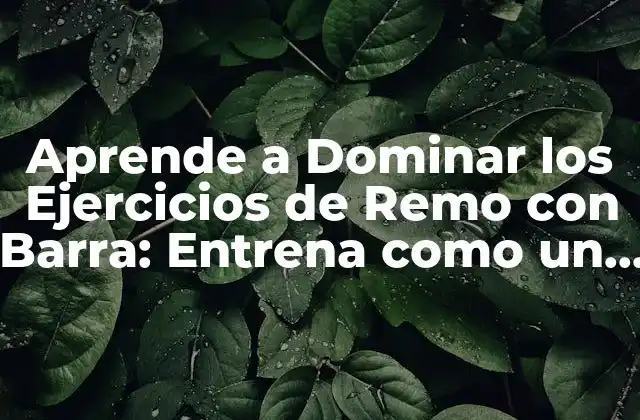 Aprende a Dominar los Ejercicios de Remo con Barra: Entrena como un Pro 2 ¿Qué son los Ejercicios de Remo con Barra?