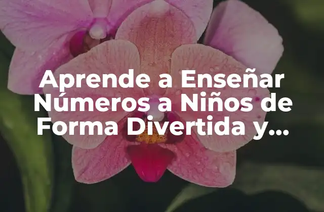 Aprende a Enseñar Números a Niños de Forma Divertida y Efectiva