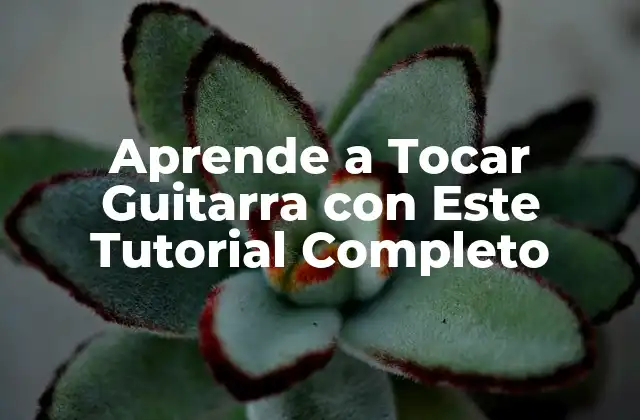 Aprende a Tocar Guitarra con Este Tutorial Completo