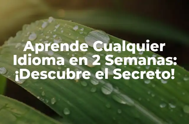 Aprende Cualquier Idioma en 2 Semanas: ¡descubre el Secreto!