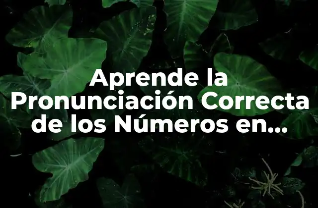 Aprende la Pronunciación Correcta de los Números en Inglés Del 1 Al 20