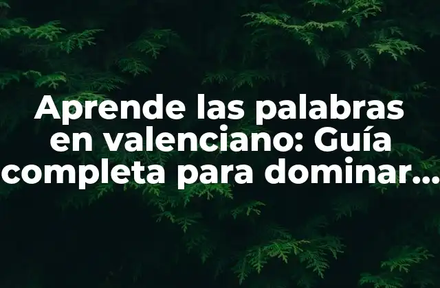 Aprende las Palabras en Valenciano: Guía Completa para Dominar el Idioma