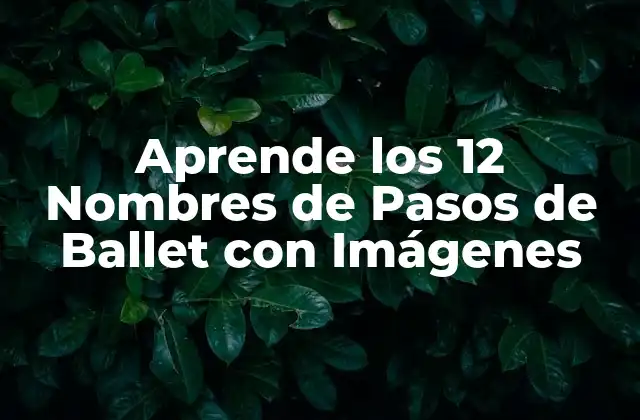Aprende los 12 Nombres de Pasos de Ballet con Imágenes