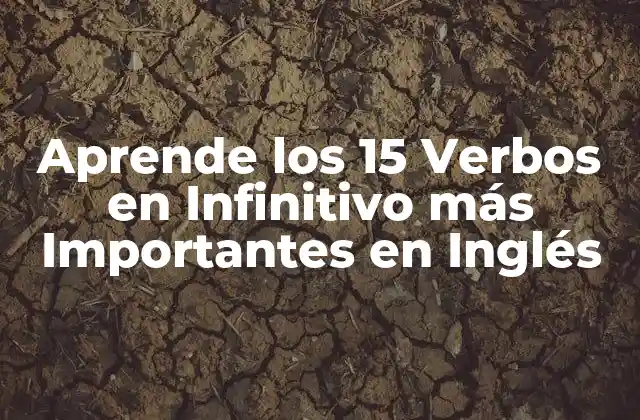 Aprende los 15 Verbos en Infinitivo Más Importantes en Inglés 2 ¿Qué son los Verbos en Infinitivo?