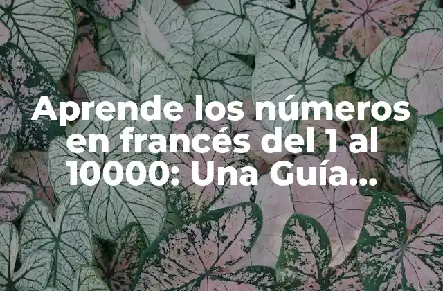 Aprende los Números en Francés Del 1 Al 10000: una Guía Completa