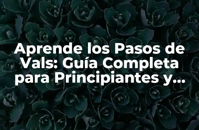 Aprende los Pasos de Vals: Guía Completa para Principiantes y Avanzados