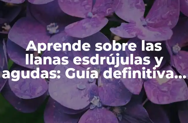 Aprende sobre las Llanas Esdrújulas y Agudas: Guía Definitiva para Entender la Acentuación en Español