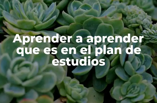Aprender a Aprender que es en el Plan de Estudios