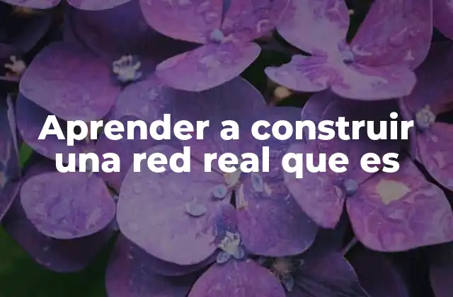 Aprender a Construir una Red Real que es