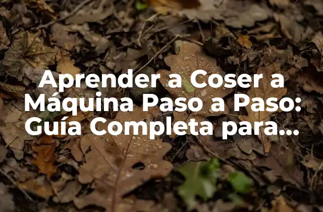 Aprender a Coser a Máquina Paso a Paso: Guía Completa para Principiantes