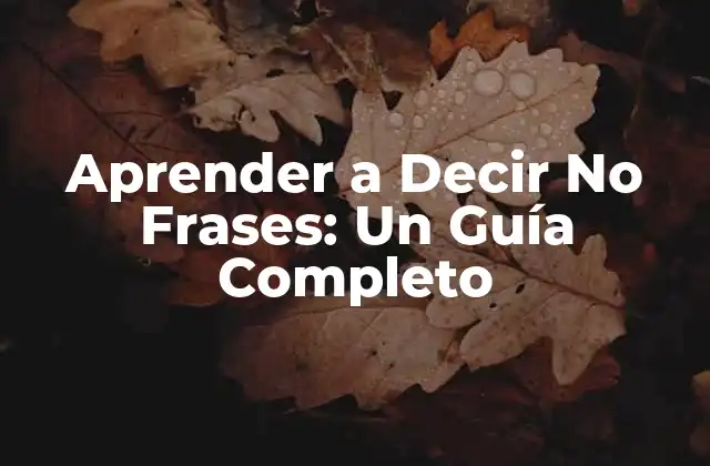 Aprender a Decir No Frases: un Guía Completo