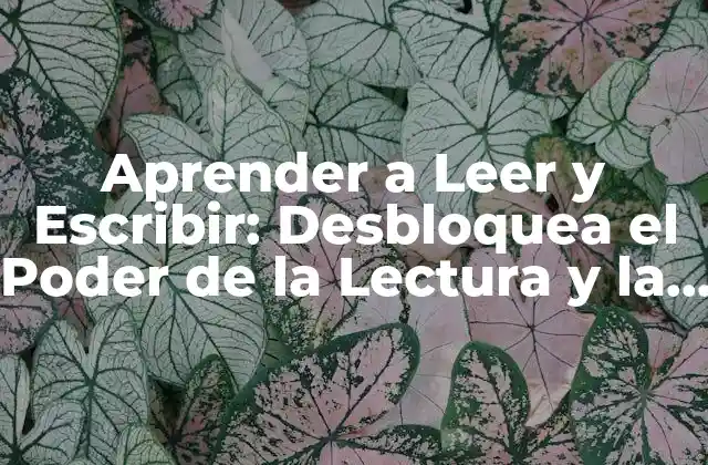 Aprender a Leer y Escribir: Desbloquea el Poder de la Lectura y la Escritura