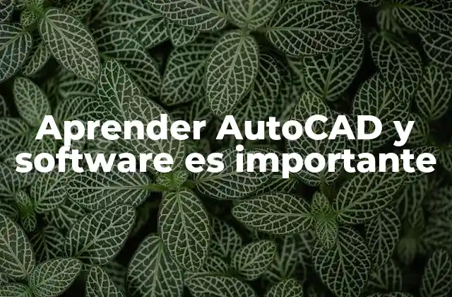Aprender Autocad y Software es Importante 2 Cómo el uso de software técnico transforma la industria
