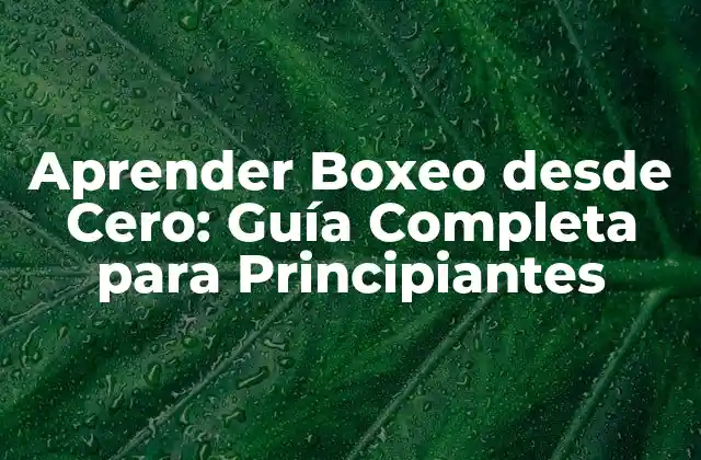Aprender Boxeo desde Cero: Guía Completa para Principiantes 2 ¿Cuáles son los beneficios del boxeo para la salud y el bienestar?