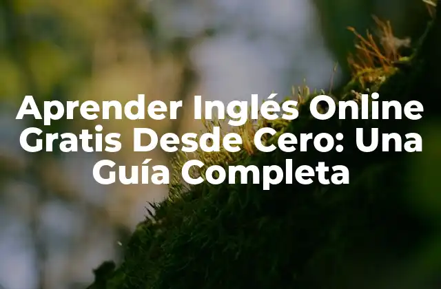 Aprender Inglés Online Gratis desde Cero: una Guía Completa