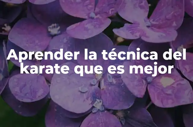 Cómo elegir el estilo de karate que más se ajusta a ti