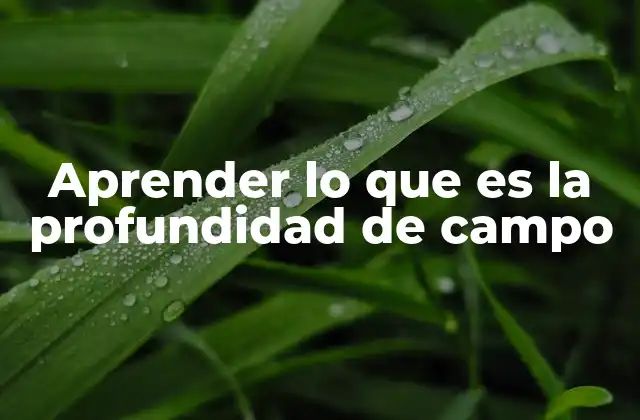 Aprender Lo que es la Profundidad de Campo