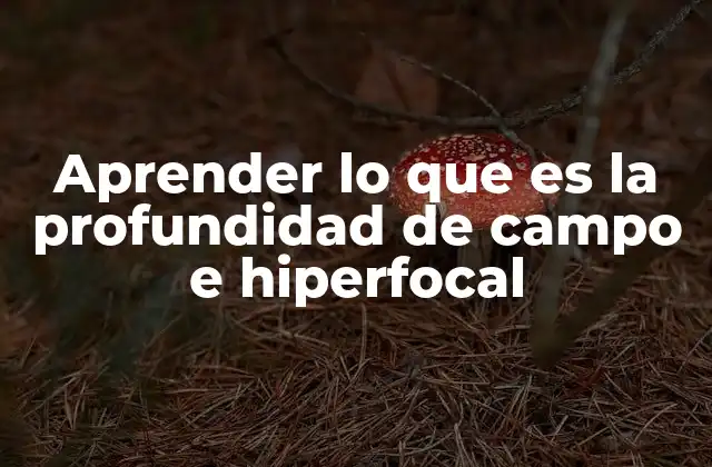 Aprender Lo que es la Profundidad de Campo e Hiperfocal